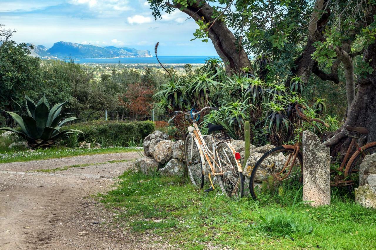 Agroturismo Can Guillo Pollença Exteriér fotografie