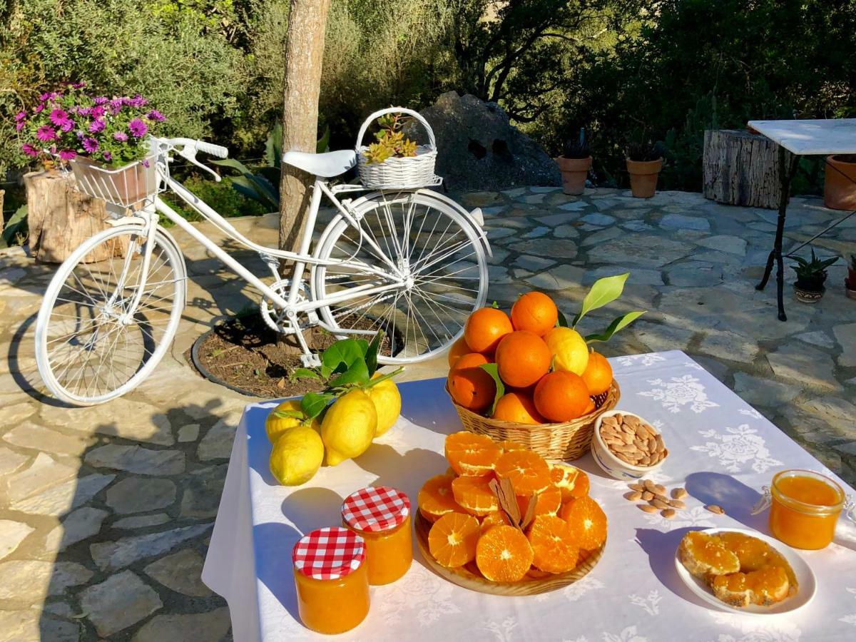 Vila Agroturismo Can Guillo Pollença Exteriér fotografie