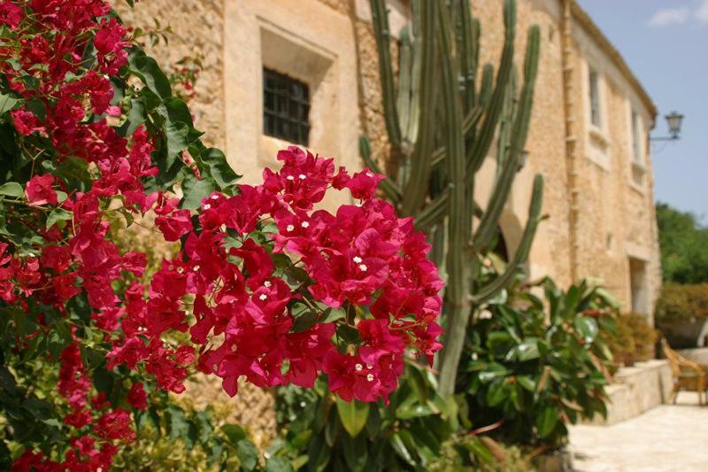 Vila Agroturismo Can Guillo Pollença Exteriér fotografie