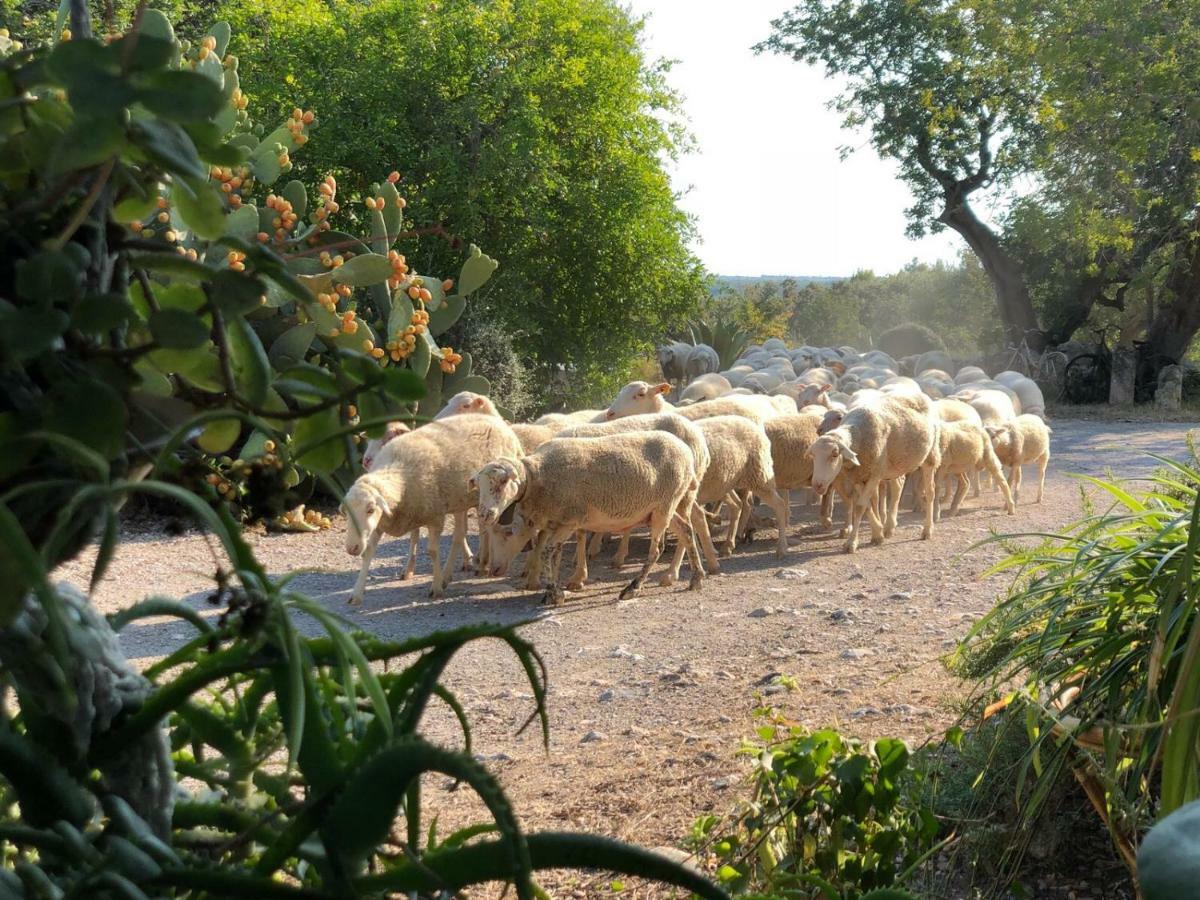 Vila Agroturismo Can Guillo Pollença Exteriér fotografie