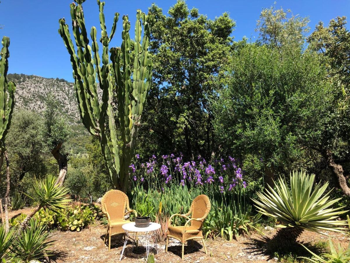 Vila Agroturismo Can Guillo Pollença Exteriér fotografie